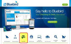 Buy Bluebird Verified Accounts